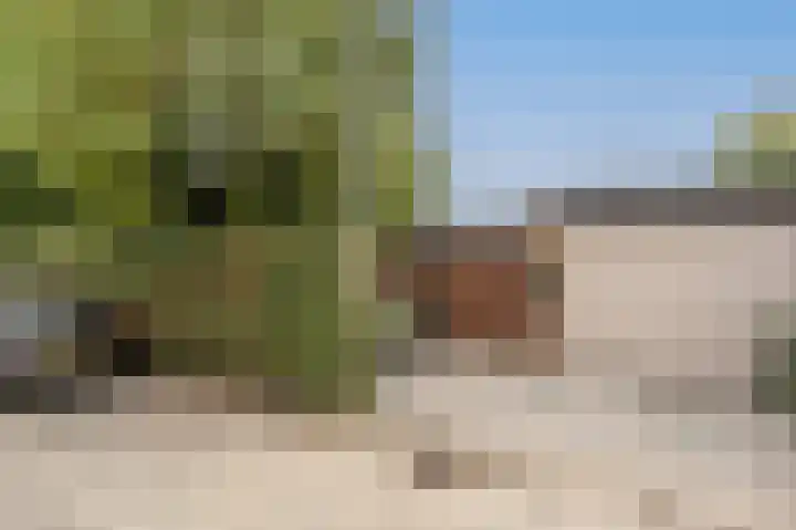Sportlaan 22 Klaaswaal thumbnail 35