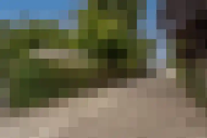 Sportlaan 22 Klaaswaal thumbnail 37