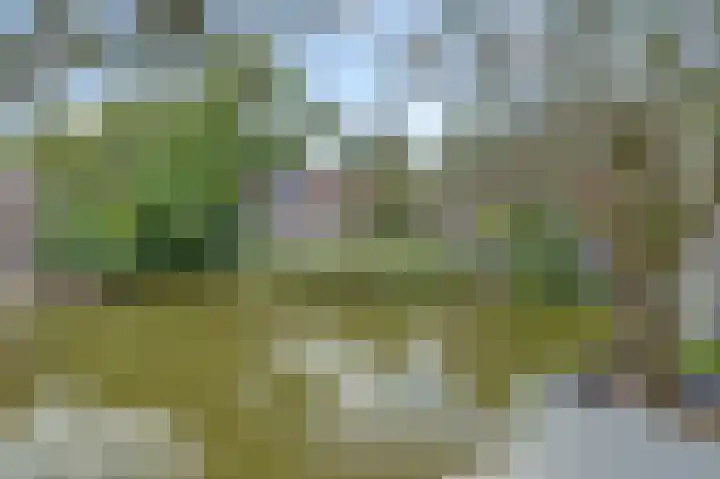 Sportlaan 23 B De Lier thumbnail 34