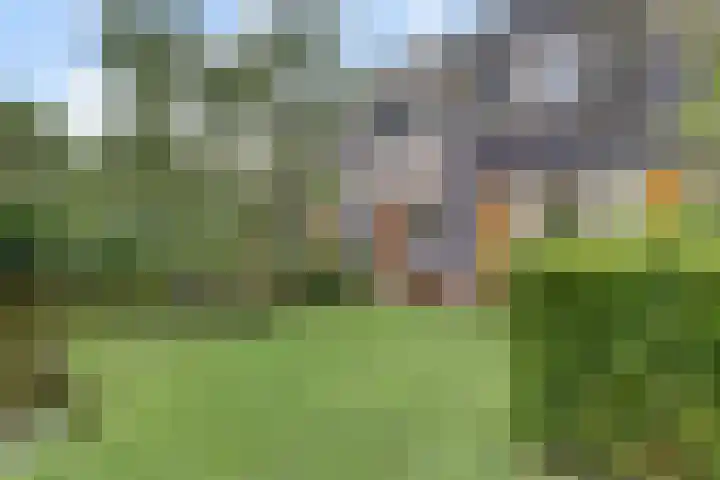 Sportlaan 23 B De Lier thumbnail 35