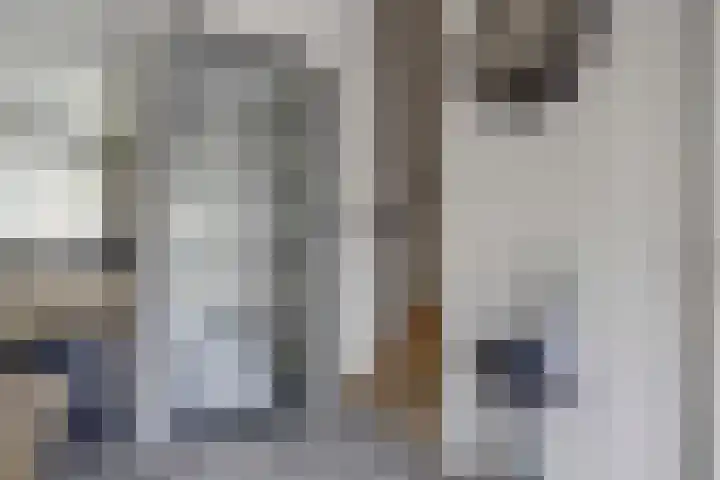 Sportlaan 23 B De Lier thumbnail 9