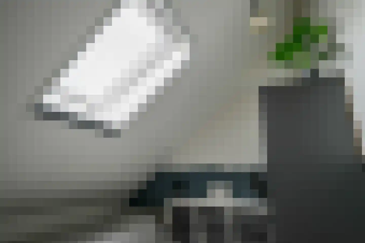 Sportlaan 23 Bleiswijk thumbnail 37