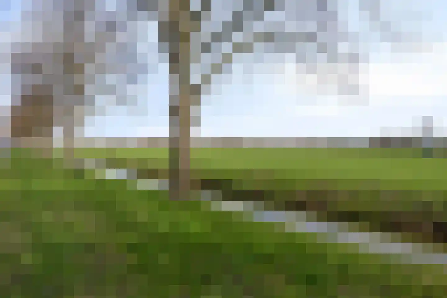 Sportlaan 24 Heerjansdam thumbnail 32