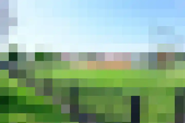 Sportlaan 24 Wognum thumbnail 24