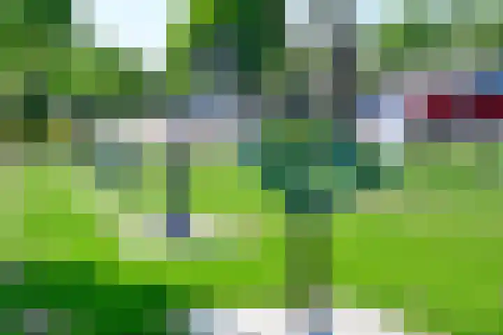 Sportlaan 24 Wognum thumbnail 26