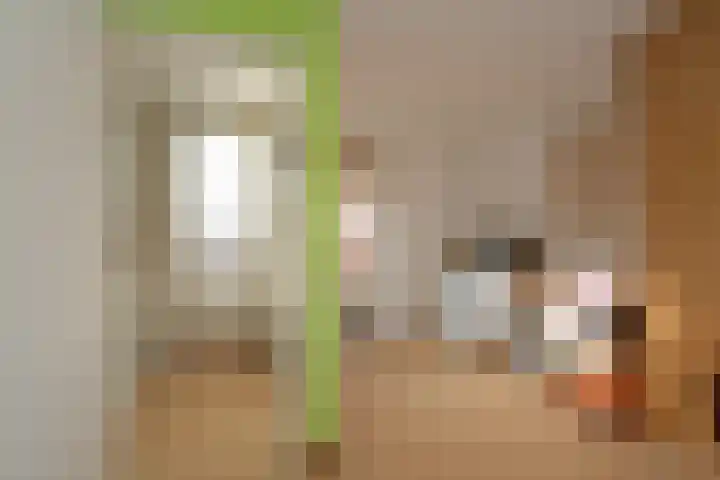 Sportlaan 25 Almelo thumbnail 24
