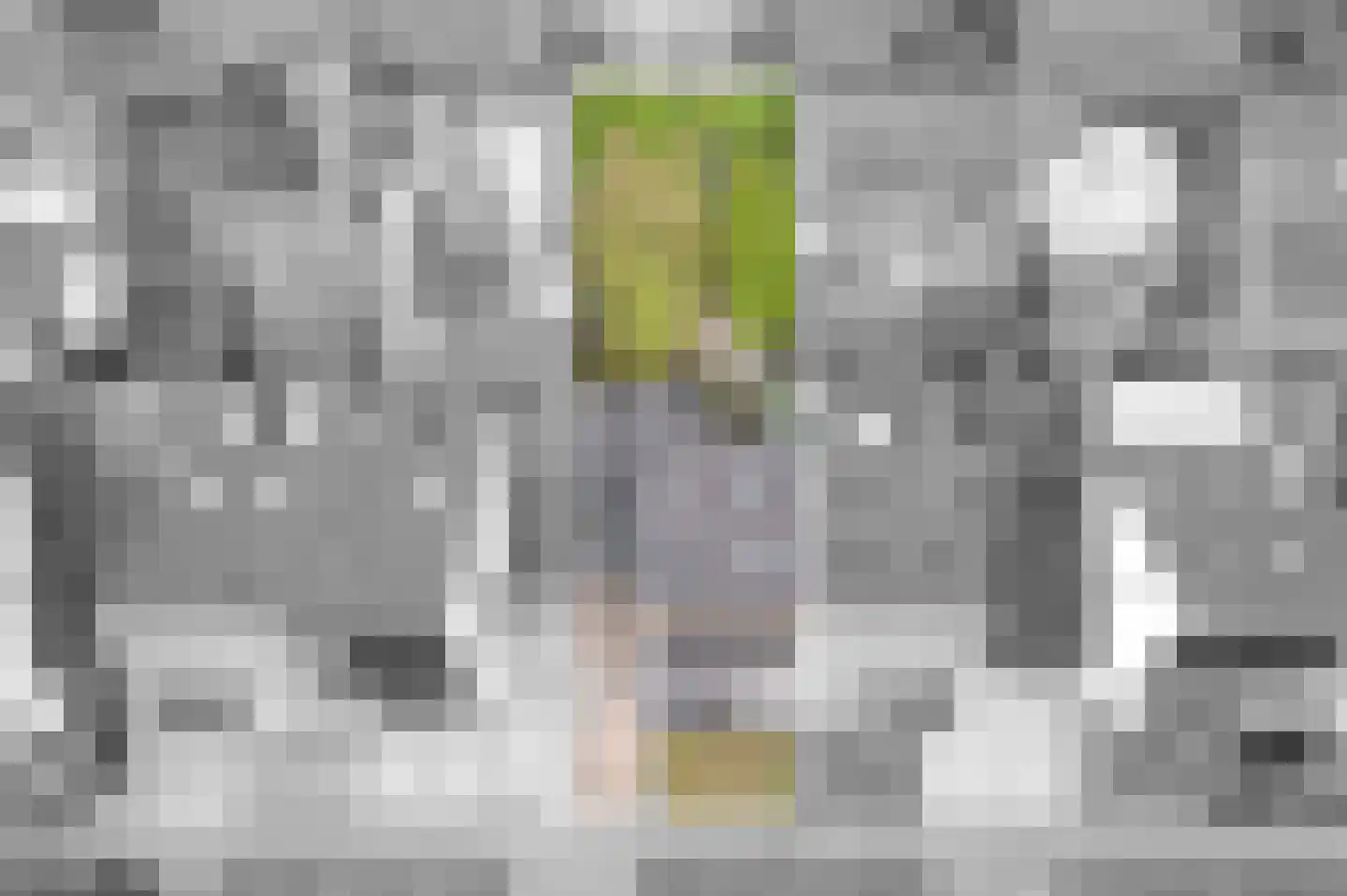 Sportlaan 25 Bedum thumbnail 28