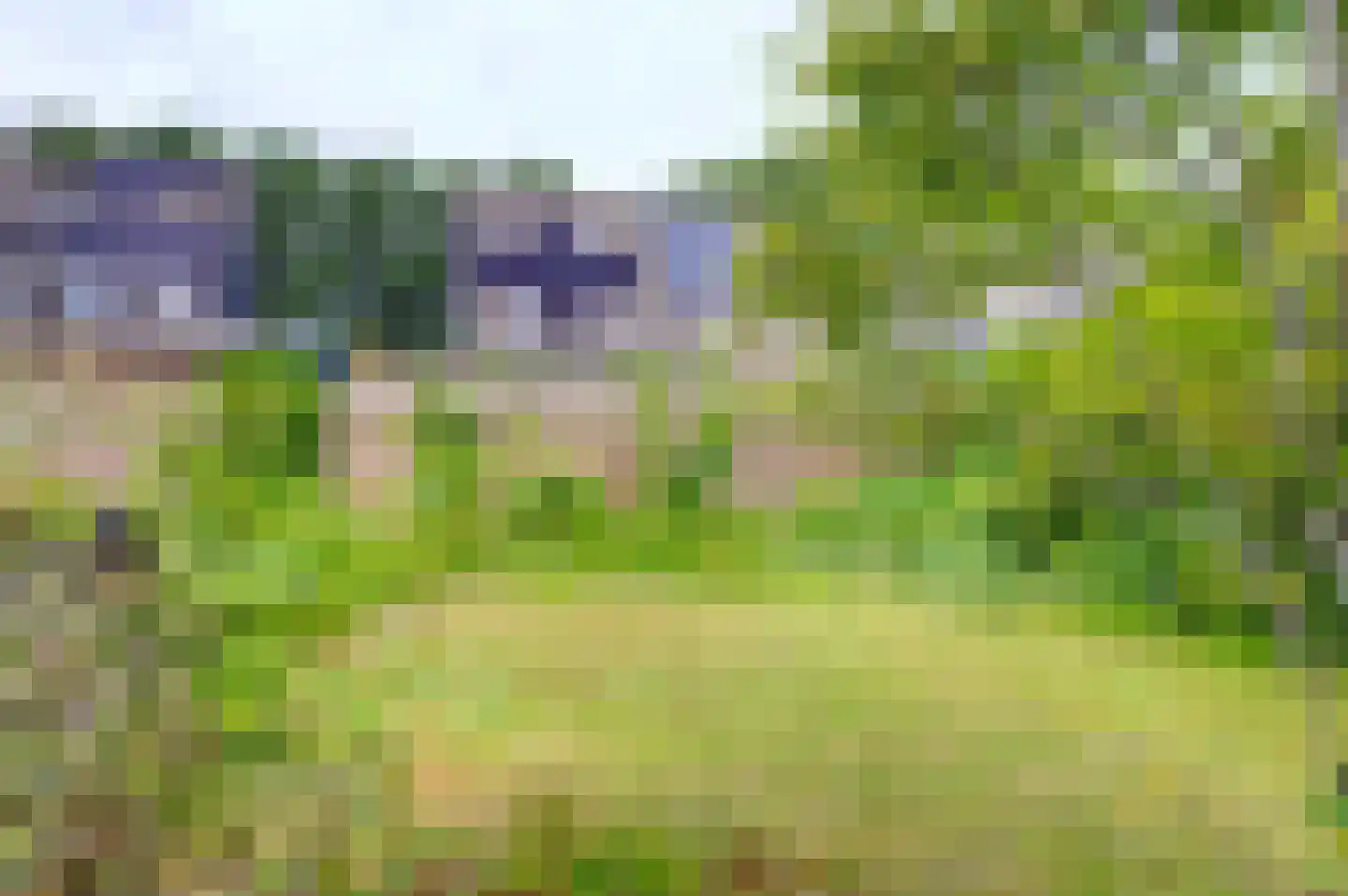 Sportlaan 25 Bedum thumbnail 5