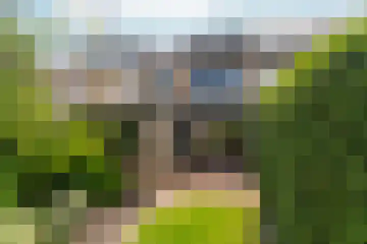 Sportlaan 26 Bemmel thumbnail 50