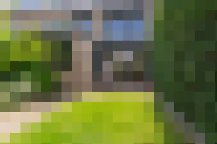 Sportlaan 26 Bemmel thumbnail 51