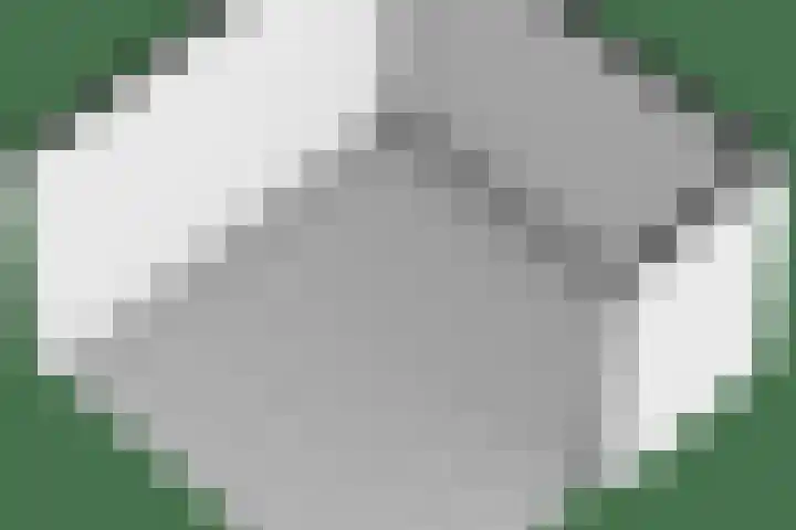 Sportlaan 26 Bemmel thumbnail 66