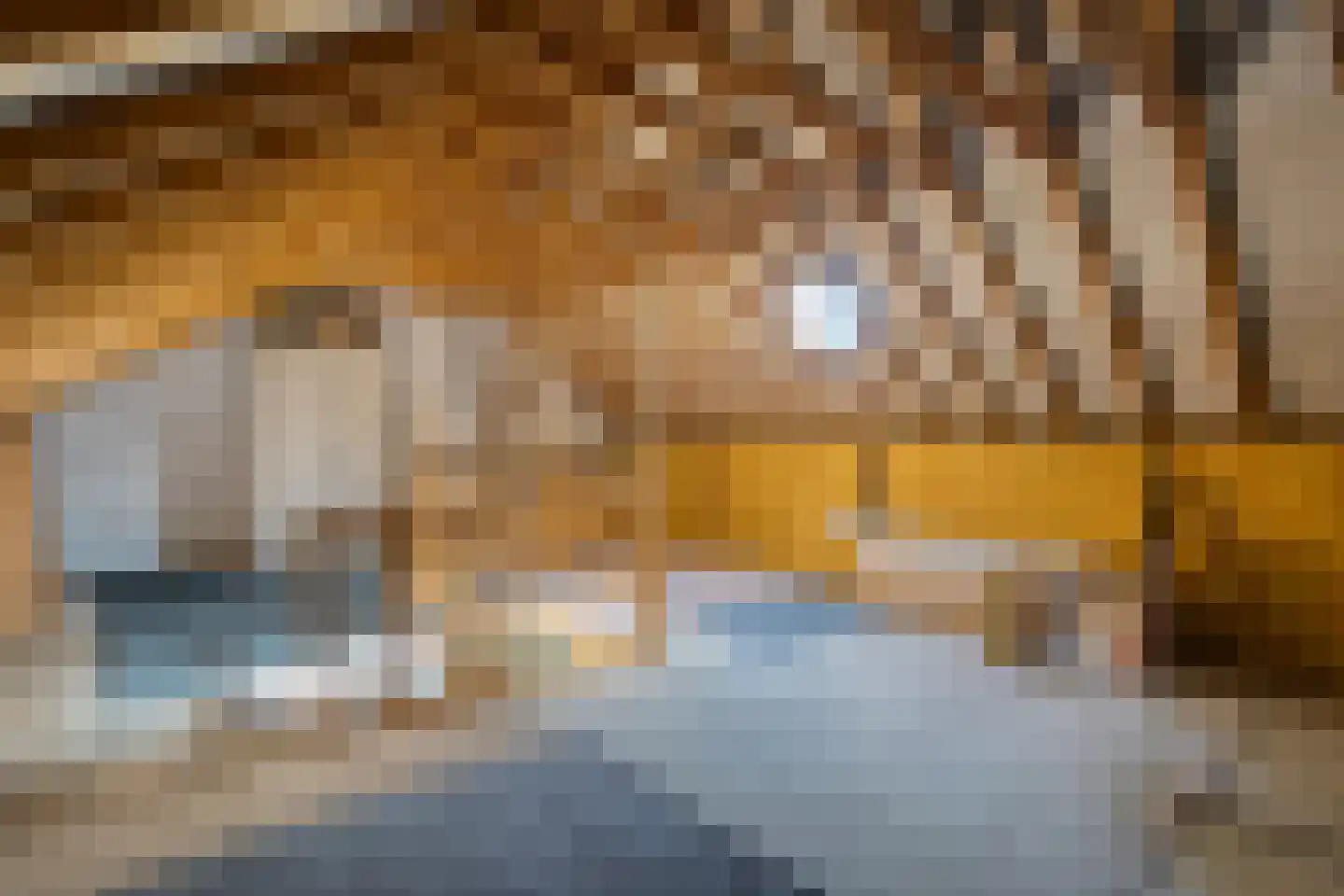 Sportlaan 26 Dedemsvaart thumbnail 30