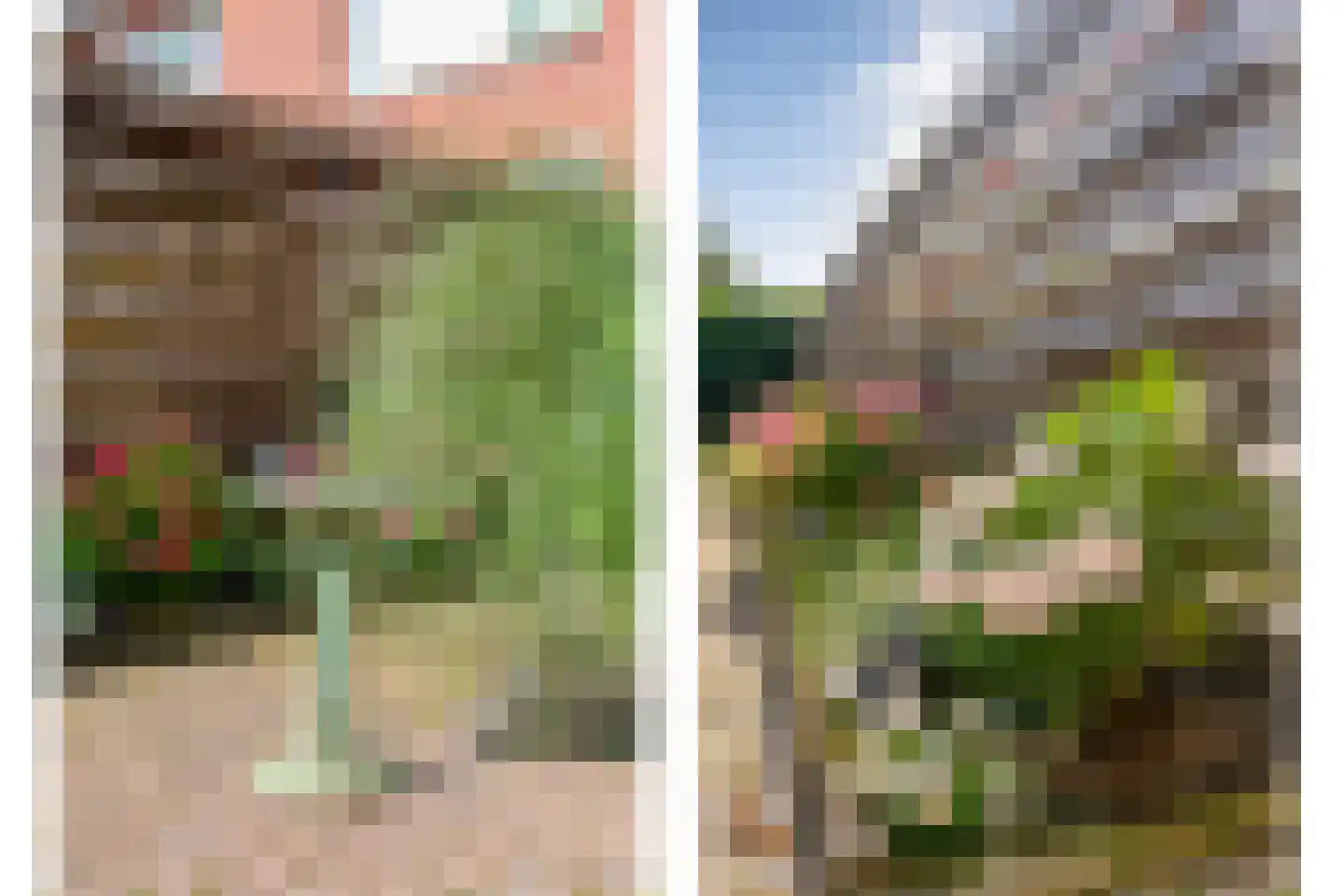 Sportlaan 26 Dedemsvaart thumbnail 37