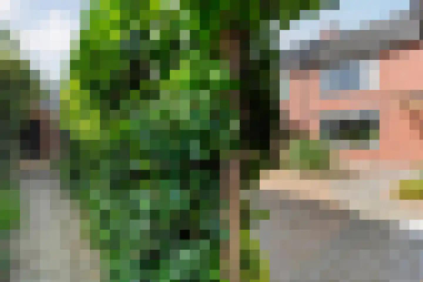 Sportlaan 26 Dedemsvaart thumbnail 38
