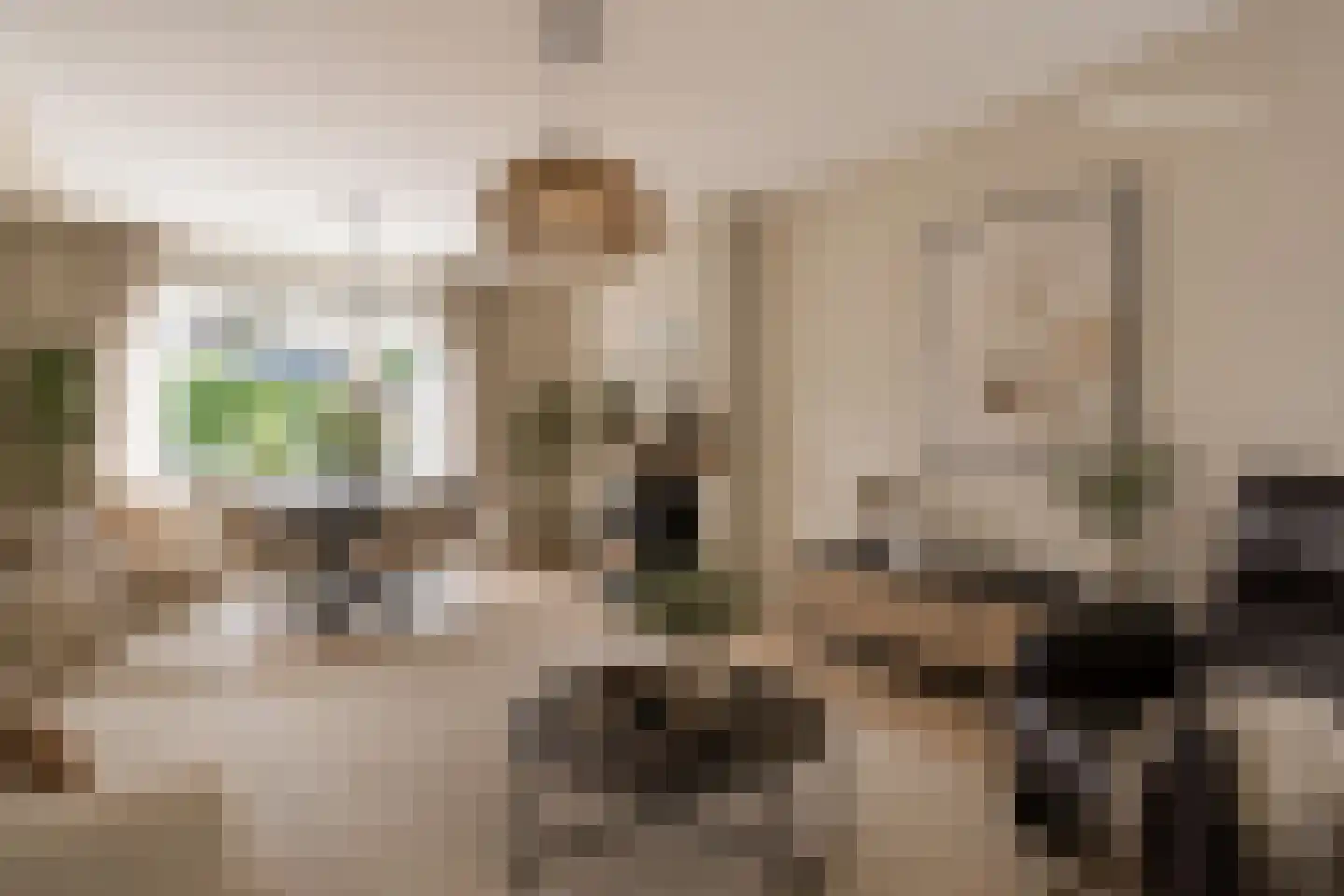 Sportlaan 26 Dedemsvaart thumbnail 5