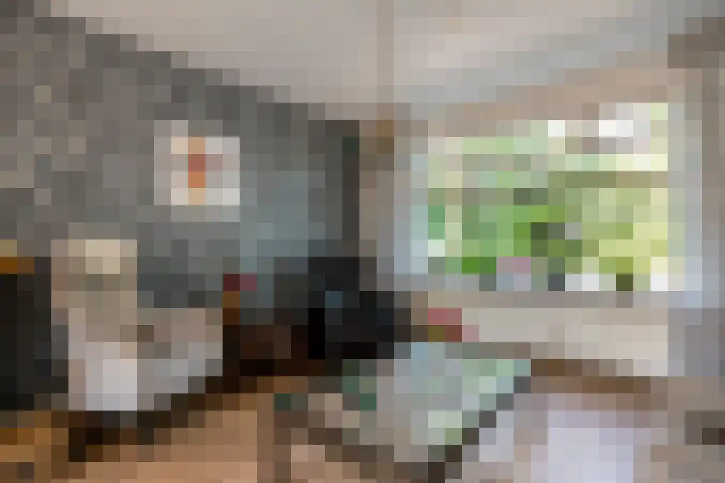 Sportlaan 26 Dedemsvaart thumbnail 6