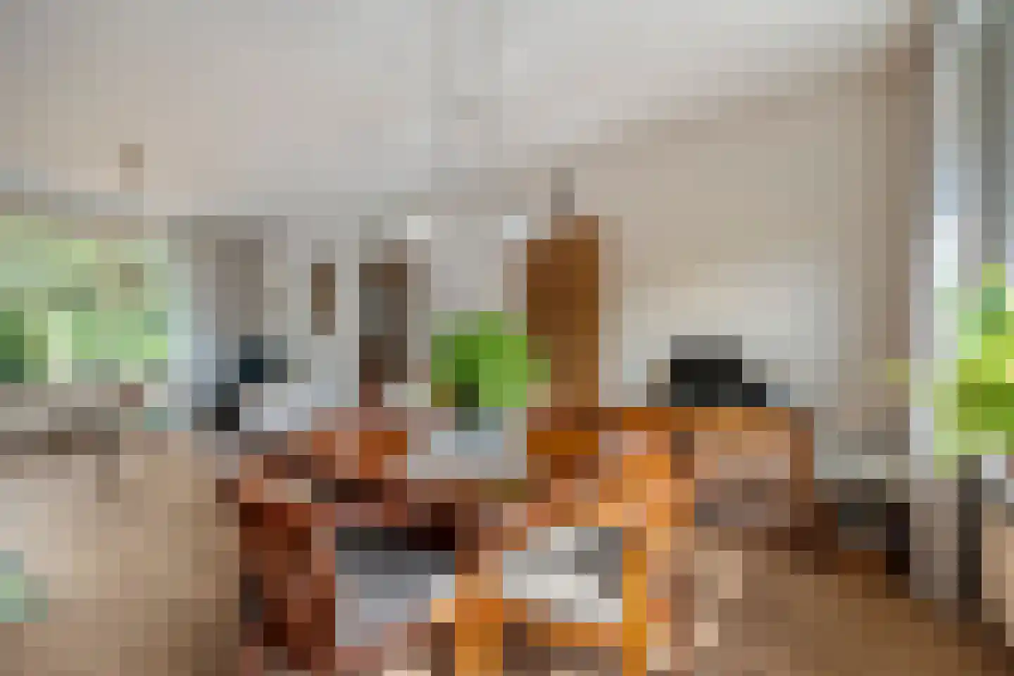 Sportlaan 26 Dedemsvaart thumbnail 9
