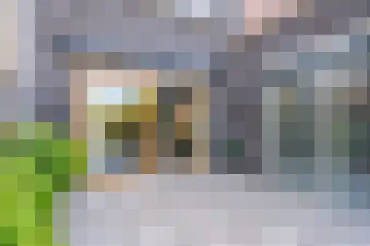 Sportlaan 27 A De Lier thumbnail 10