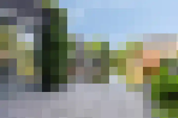 Sportlaan 27 A De Lier thumbnail 8