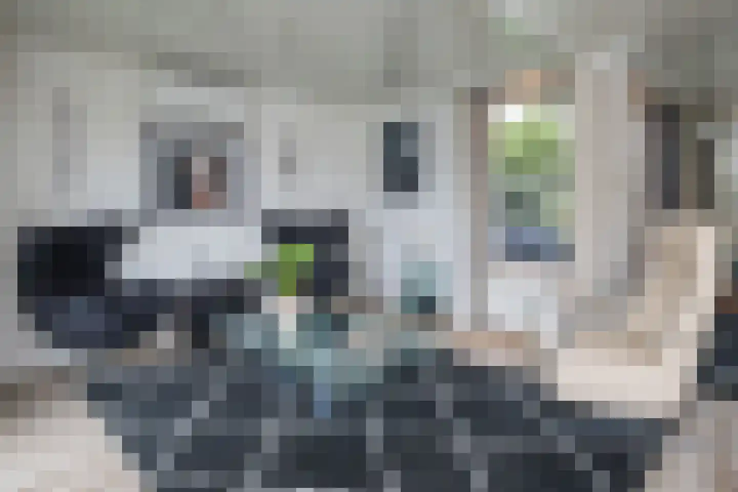 Sportlaan 27 Heerjansdam thumbnail 14