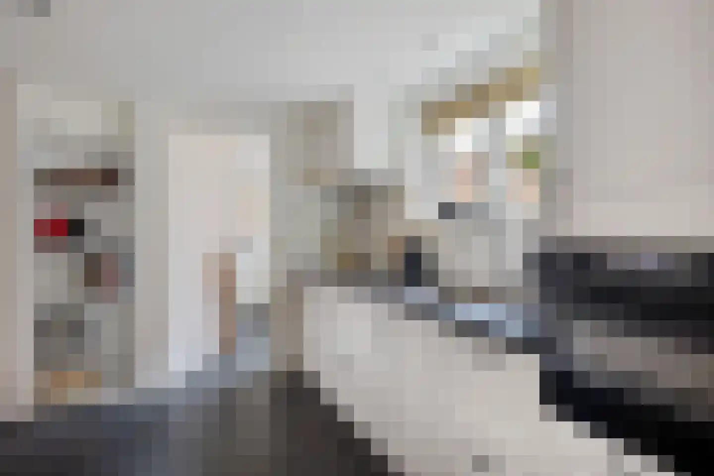 Sportlaan 27 Oudesluis thumbnail 10