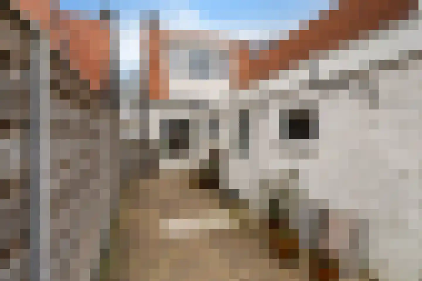 Sportlaan 27 Oudesluis thumbnail 32