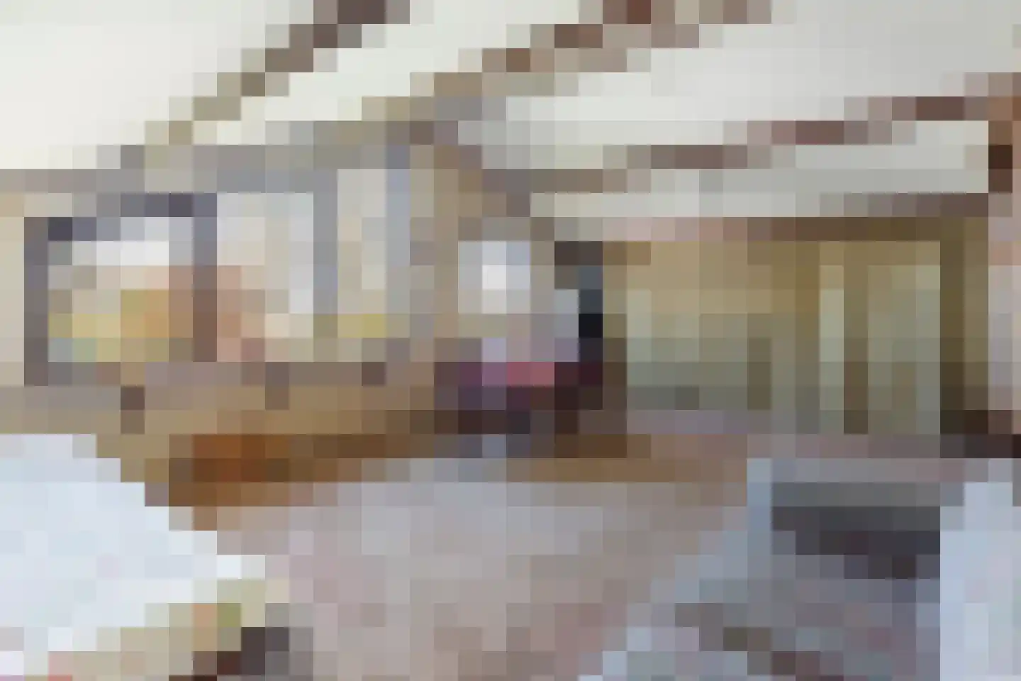 Sportlaan 29 Tuitjenhorn thumbnail 34