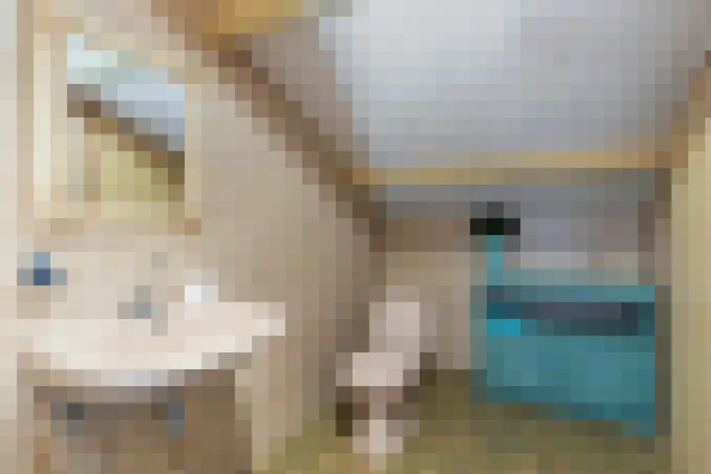 Sportlaan 29 Tuitjenhorn thumbnail 36