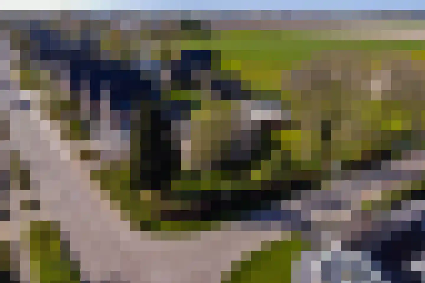 Sportlaan 29 Tuitjenhorn thumbnail 53