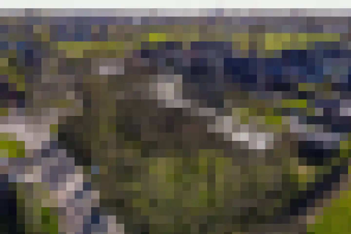 Sportlaan 29 Tuitjenhorn thumbnail 55