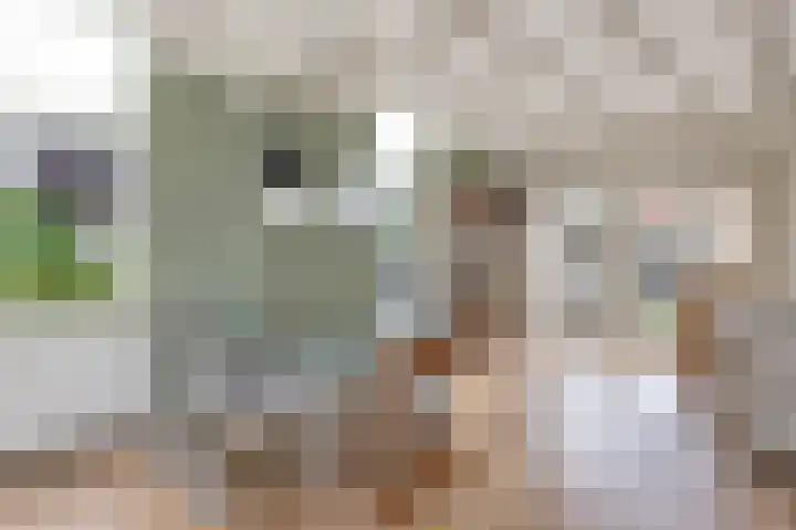 Sportlaan 3 A Oudesluis thumbnail 10