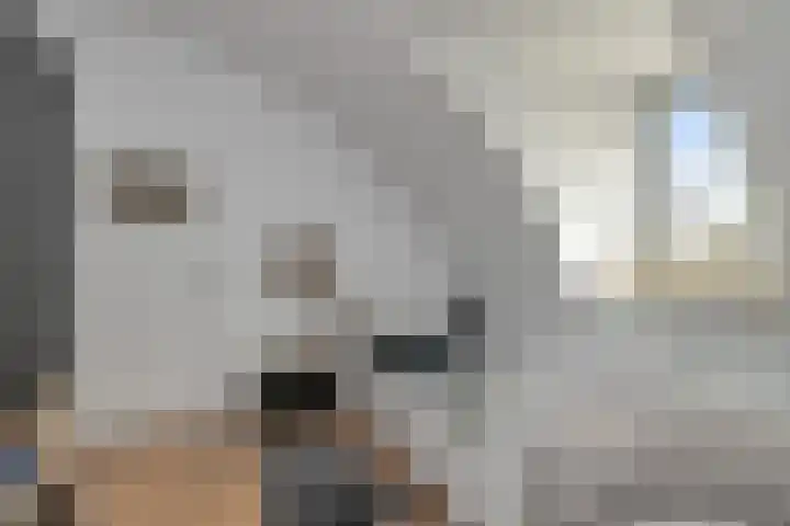 Sportlaan 3 A Oudesluis thumbnail 20
