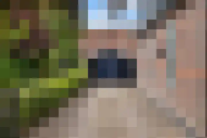Sportlaan 3 A Oudesluis thumbnail 30