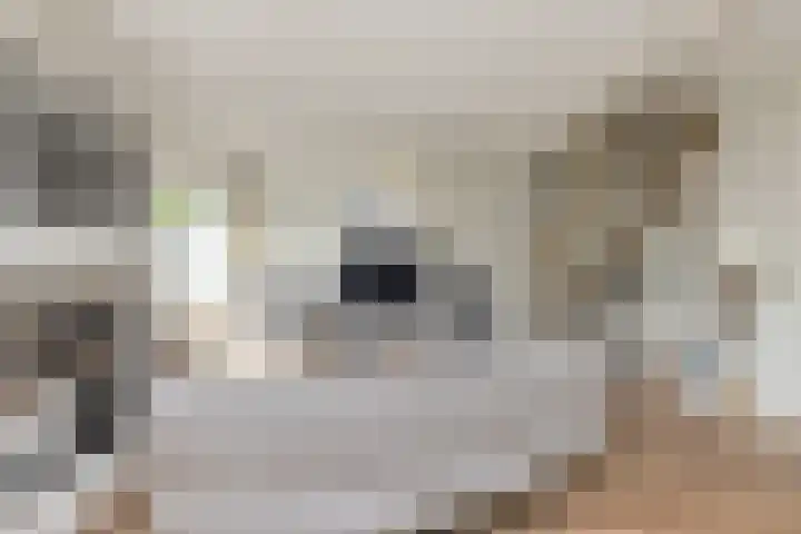 Sportlaan 3 A Oudesluis thumbnail 8
