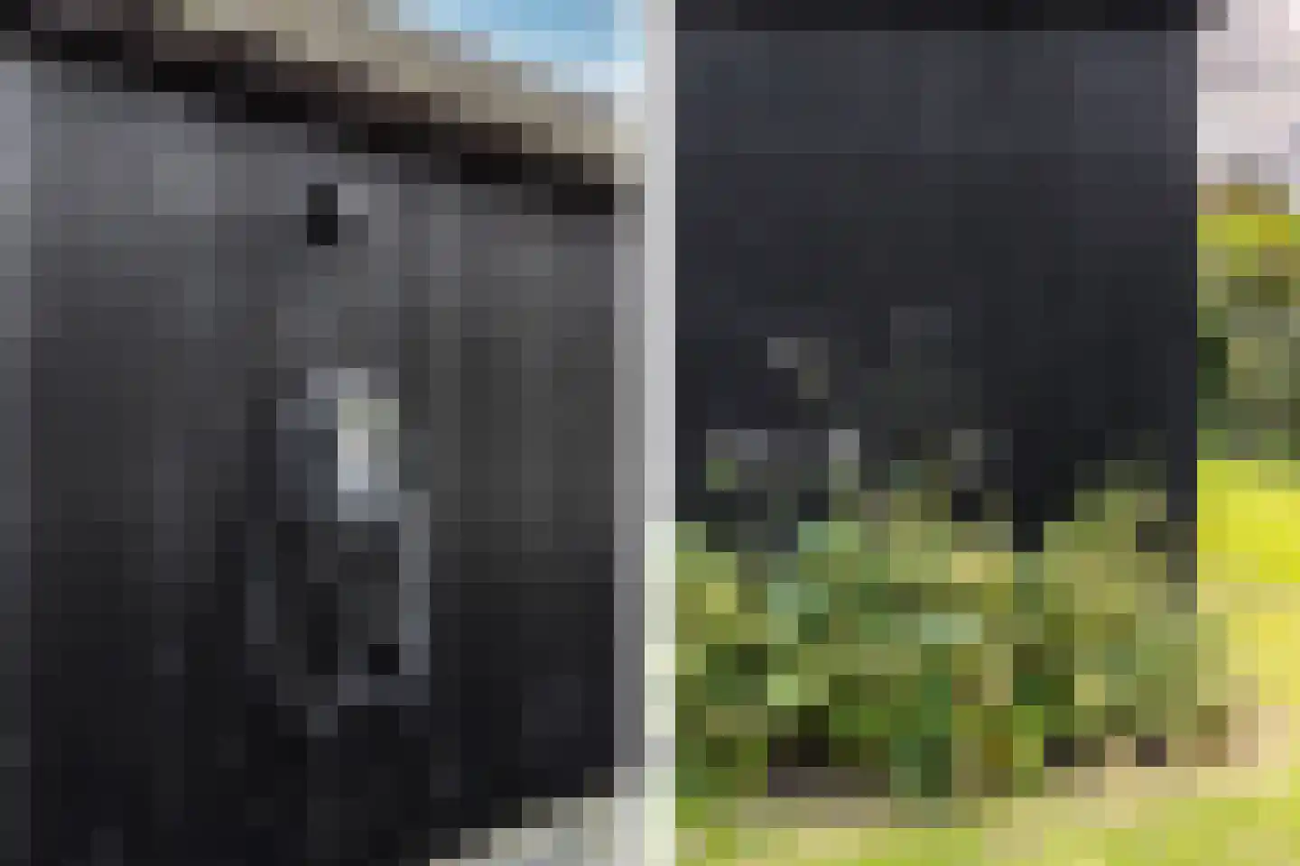 Sportlaan 3 b Oostvoorne thumbnail 27