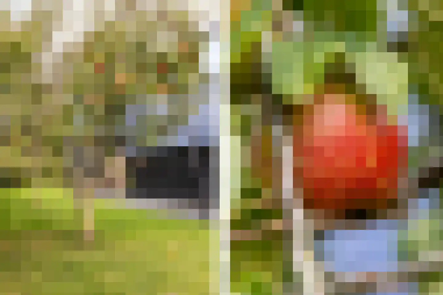 Sportlaan 3 b Oostvoorne thumbnail 28