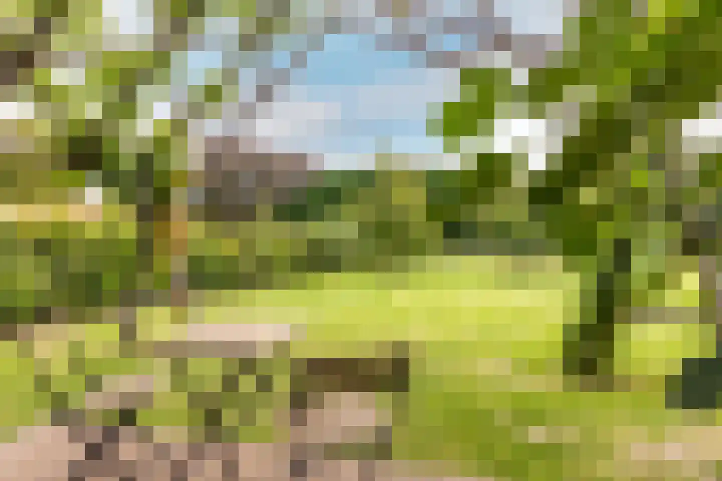 Sportlaan 3 b Oostvoorne thumbnail 29