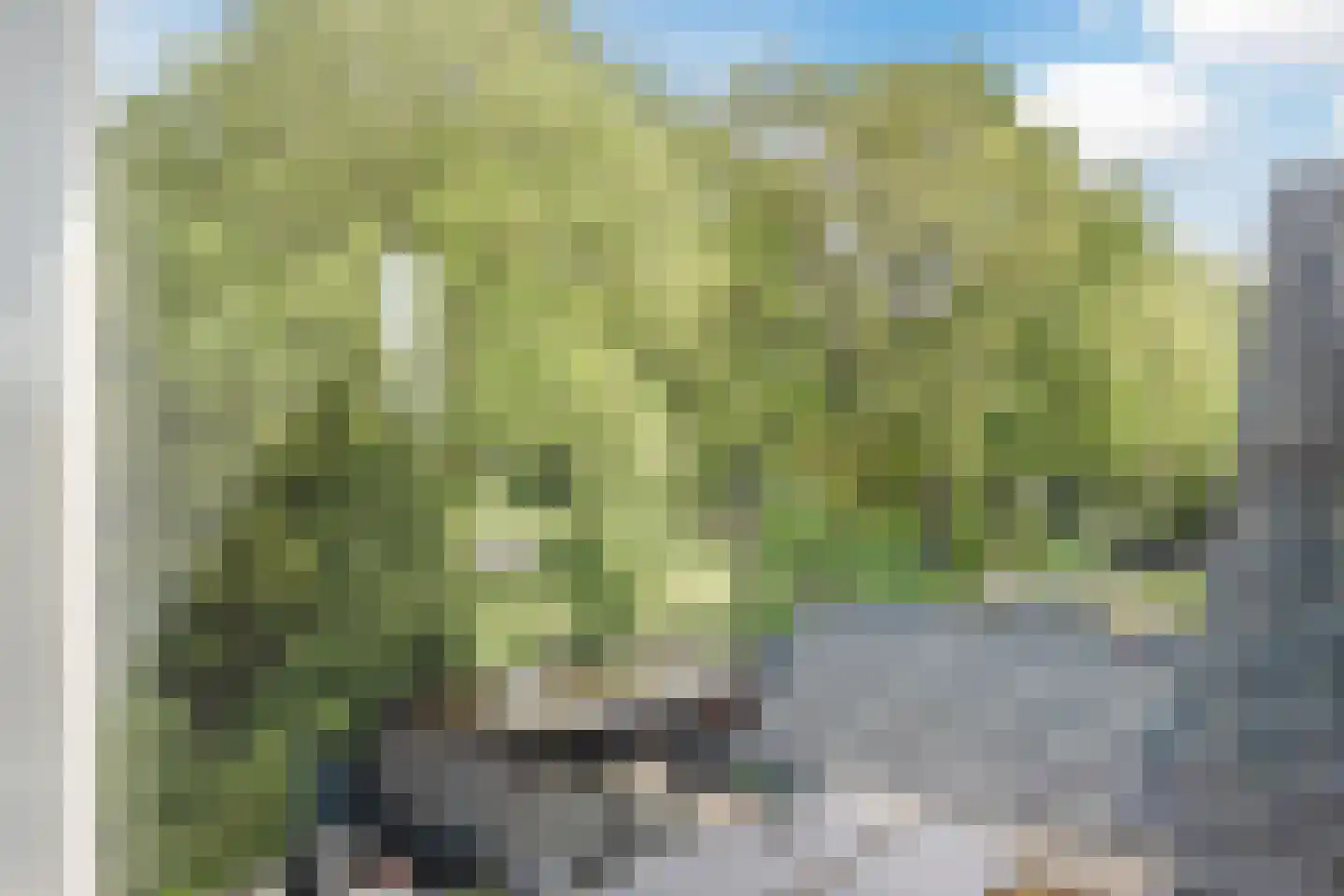 Sportlaan 3 Heerhugowaard thumbnail 57