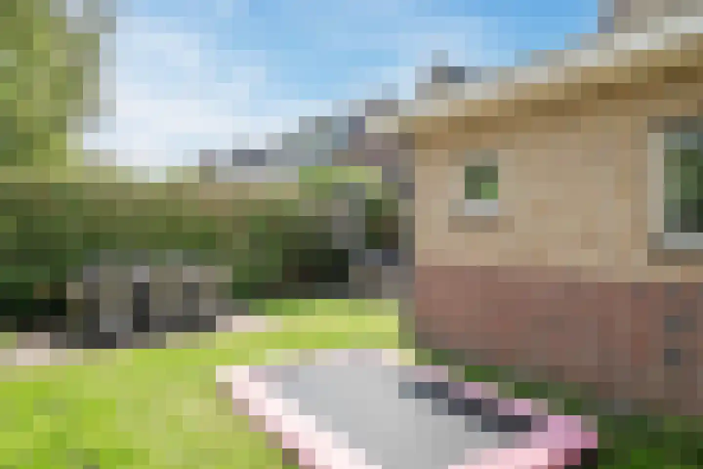 Sportlaan 3 Heerhugowaard thumbnail 65