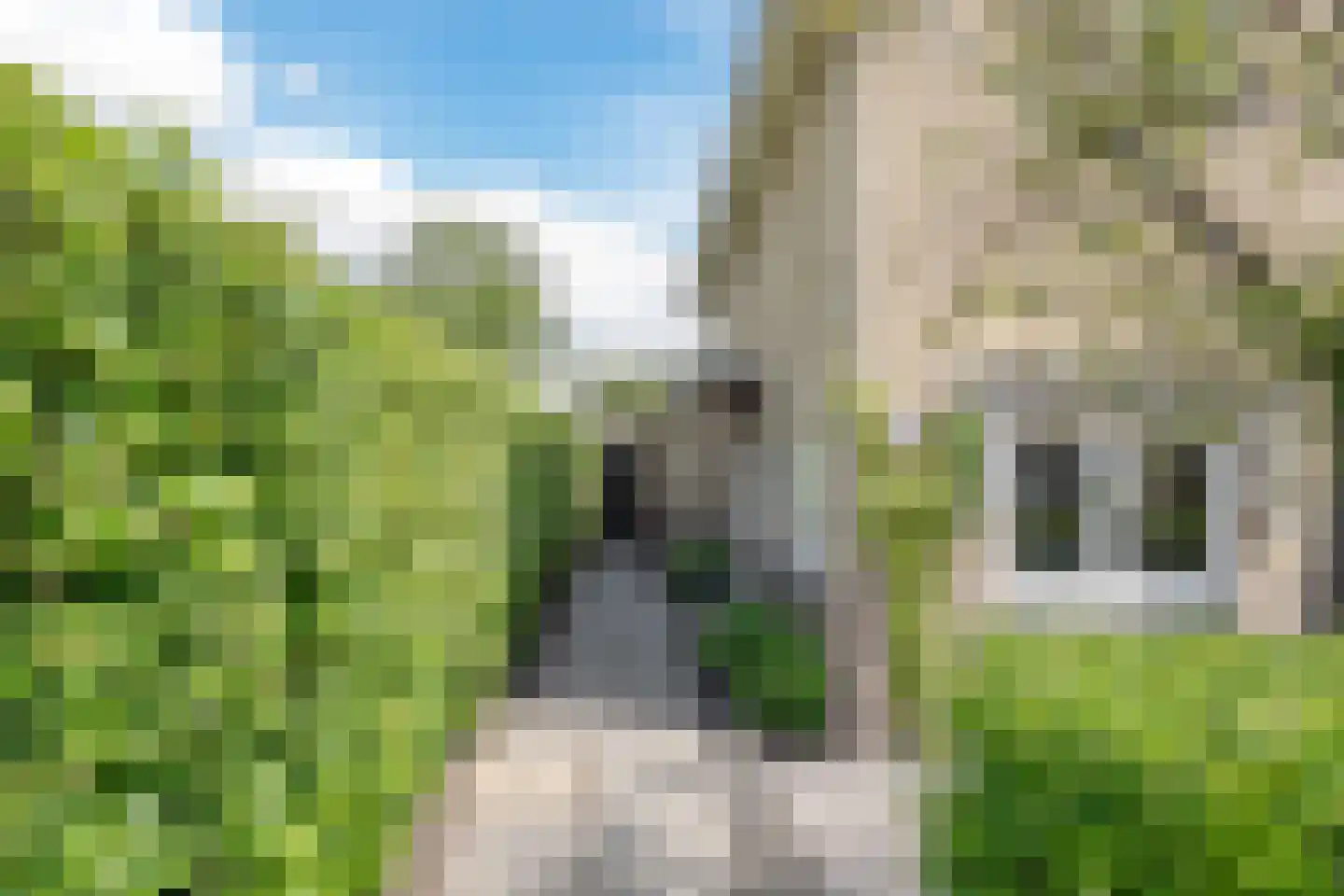 Sportlaan 3 Heerhugowaard thumbnail 8