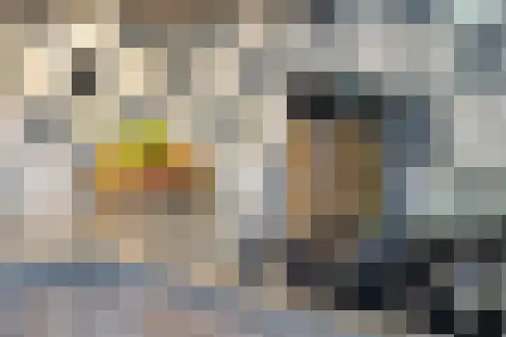 Sportlaan 3 Hoogersmilde thumbnail 15