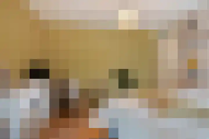 Sportlaan 3 Hoogersmilde thumbnail 21