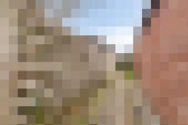 Sportlaan 3 Hoogersmilde thumbnail 29