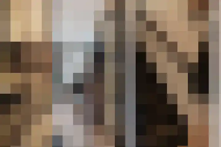 Sportlaan 3 Hoogersmilde thumbnail 8