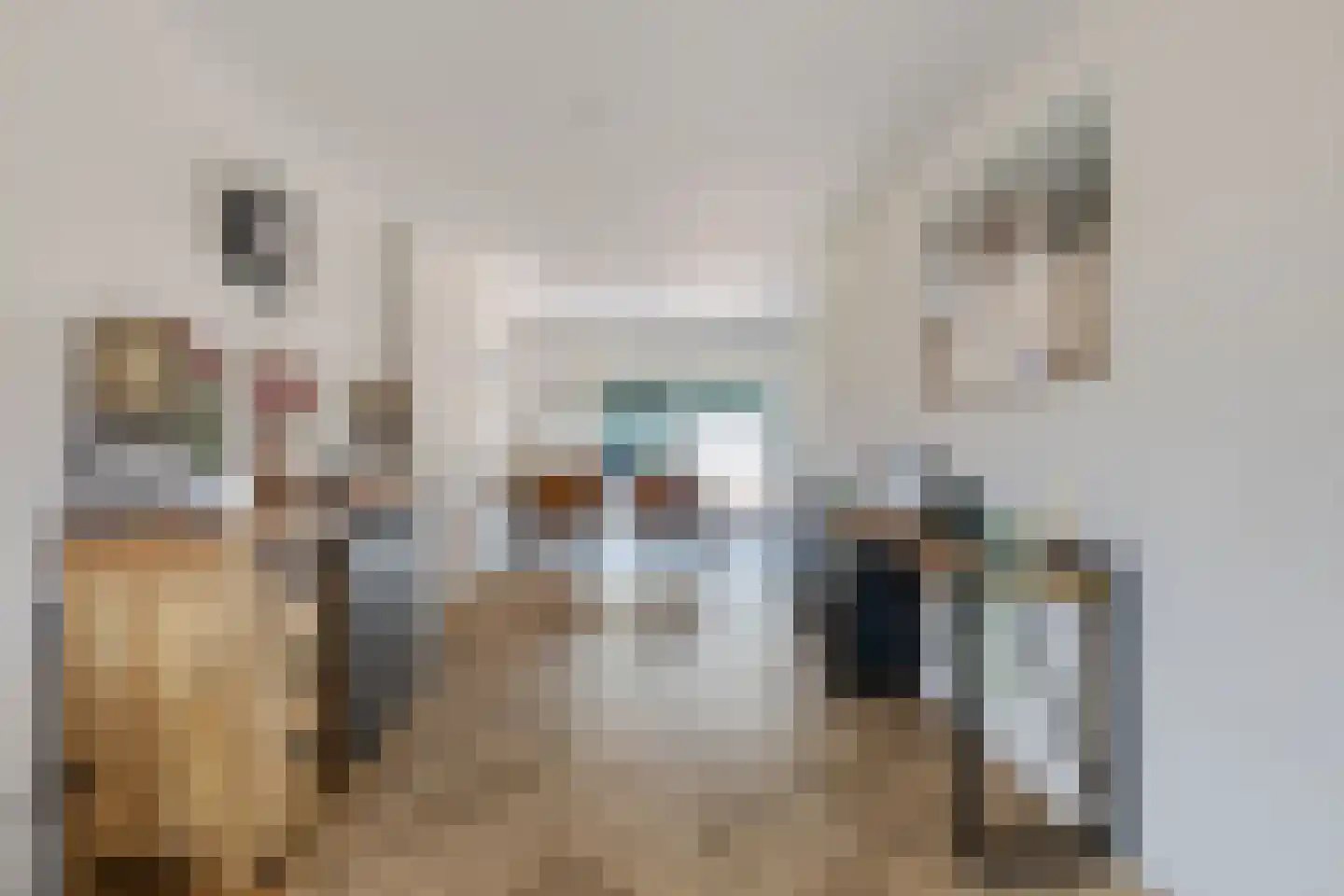 Sportlaan 3 Nieuw-Buinen thumbnail 11