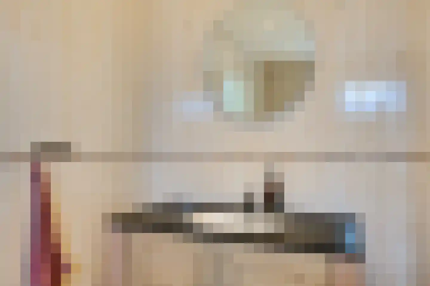 Sportlaan 3 Nieuw-Buinen thumbnail 20