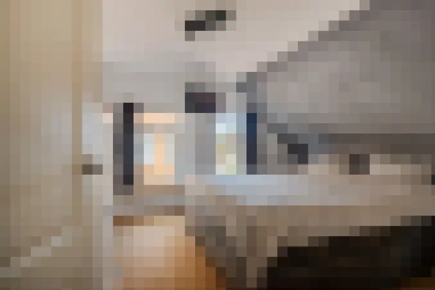 Sportlaan 3 Nieuw-Buinen thumbnail 33