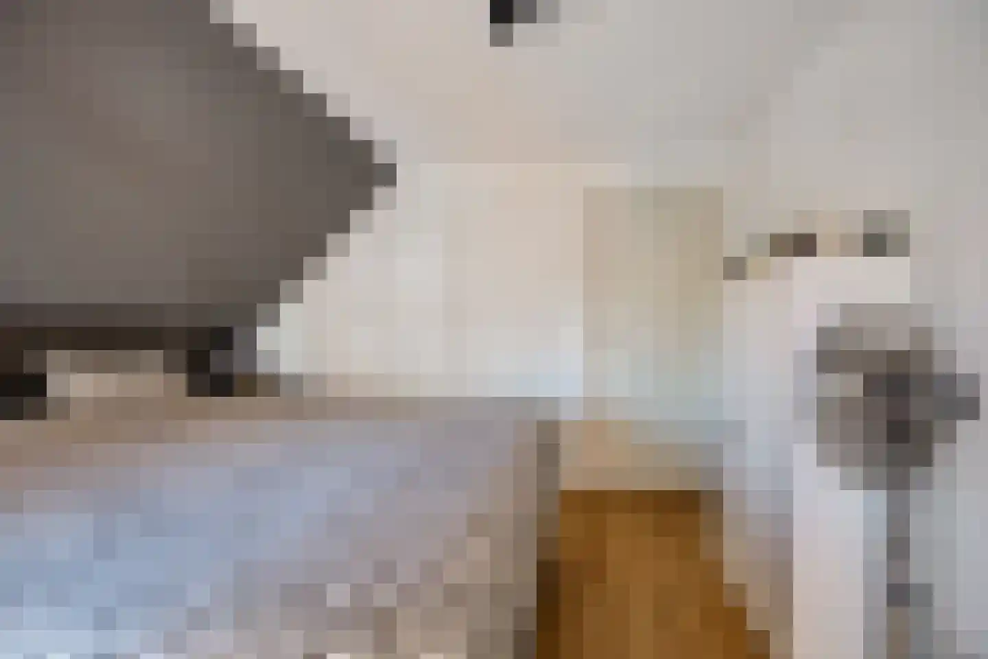 Sportlaan 3 Nieuw-Buinen thumbnail 35