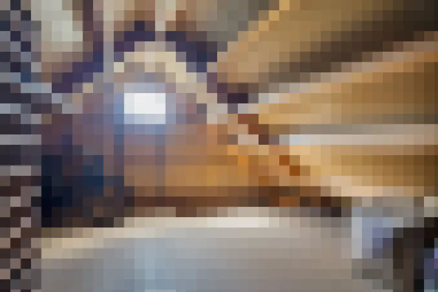 Sportlaan 3 Nieuw-Buinen thumbnail 42