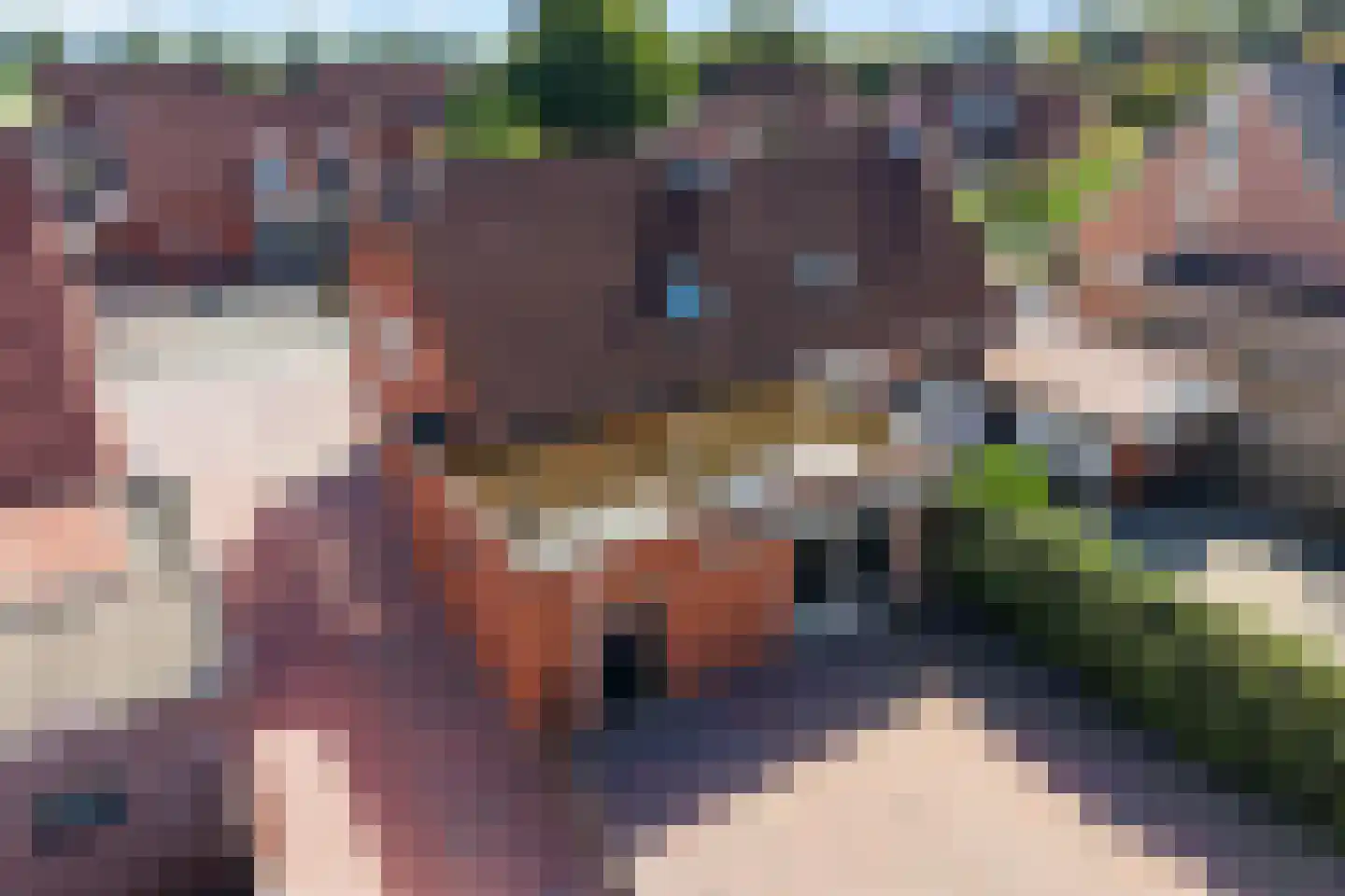 Sportlaan 3 Nieuw-Buinen thumbnail 44
